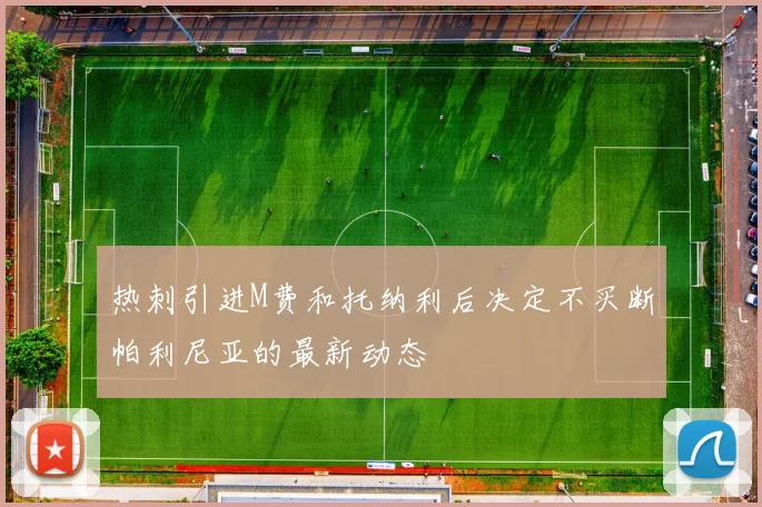 热刺引进M费和托纳利后决定不买断帕利尼亚的最新动态