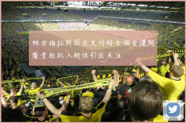帕尔梅拉斯因未支付转会佣金遭阿隆索经纪人起诉引发关注